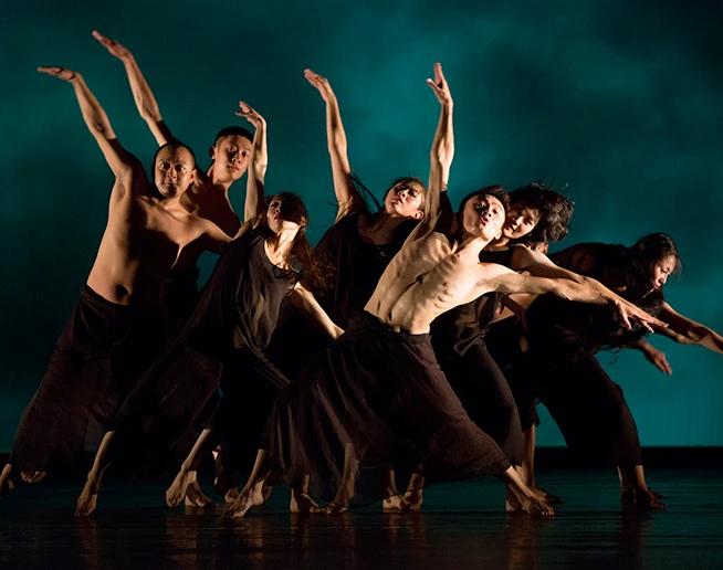 Photo du ballet Cage Birds - Droits réservés